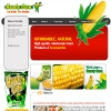 Hearty Corn website