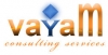 vayaM Consulting Services SEO